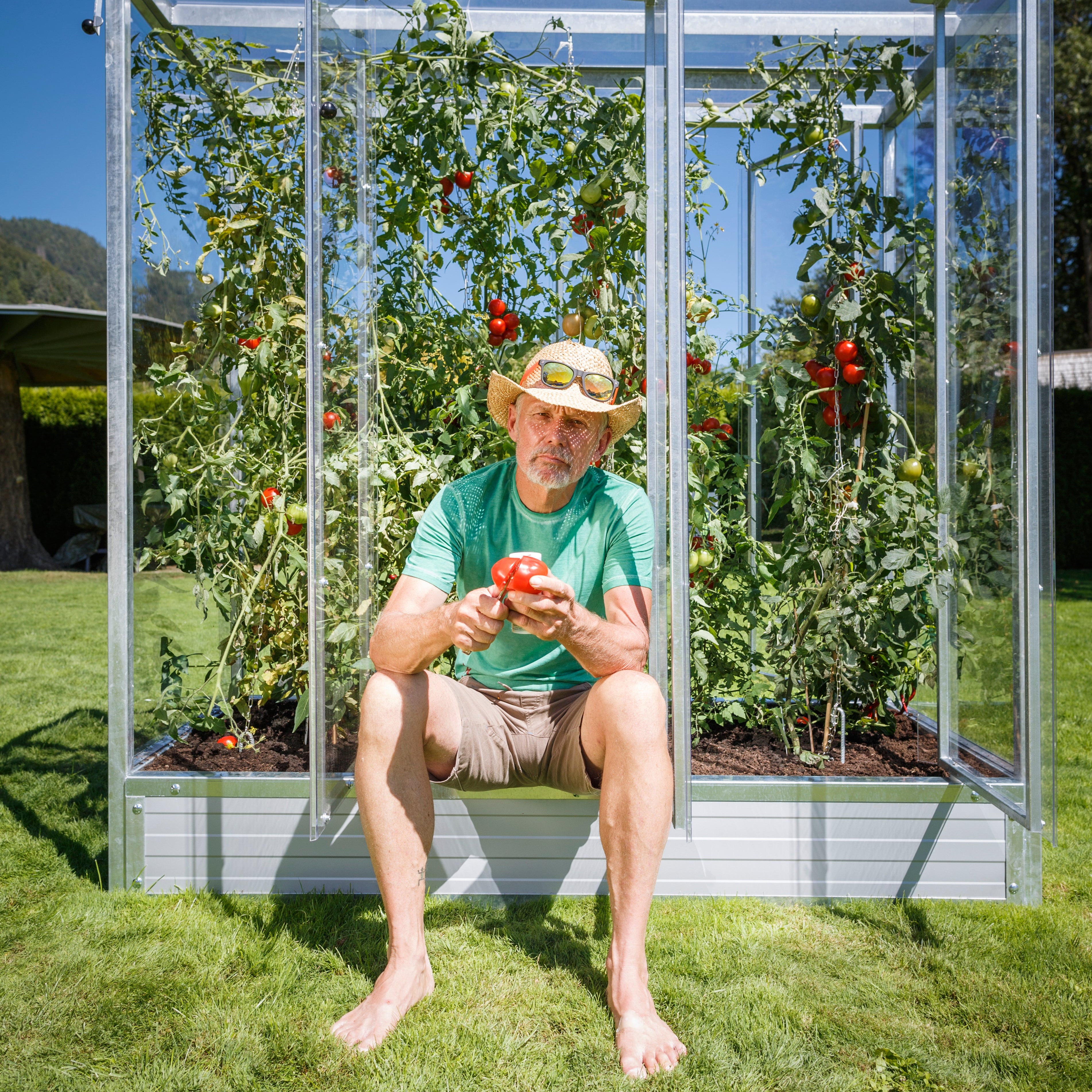 Mann schneidet eine Tomate vor einem Tomatenhaus