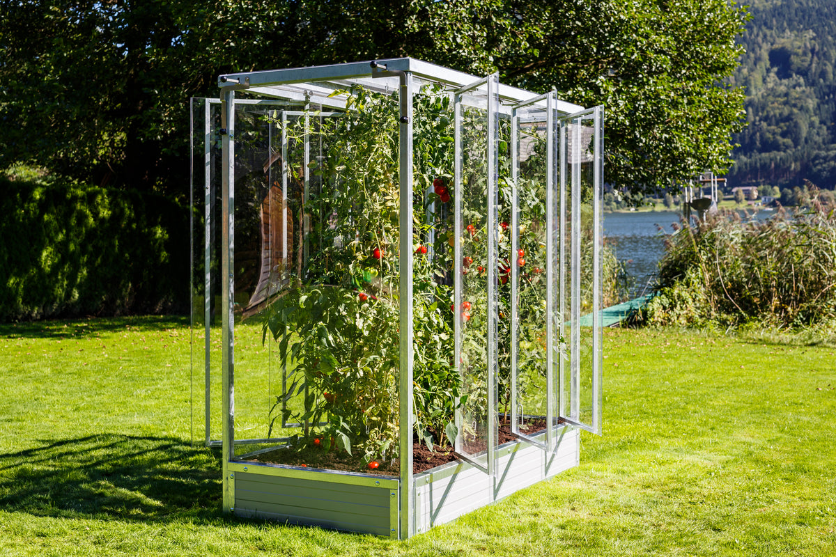 Tomatenhaus "Julia"