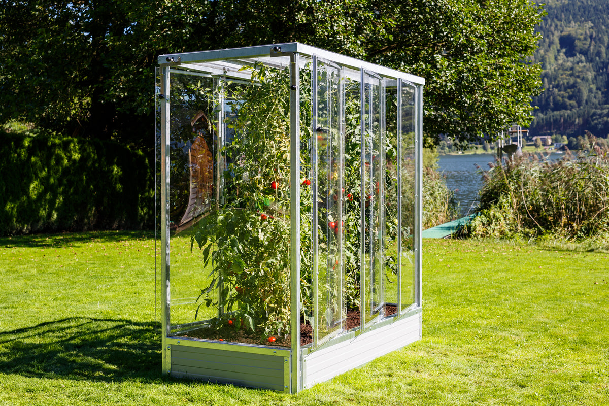 Tomatenhaus "Julia"
