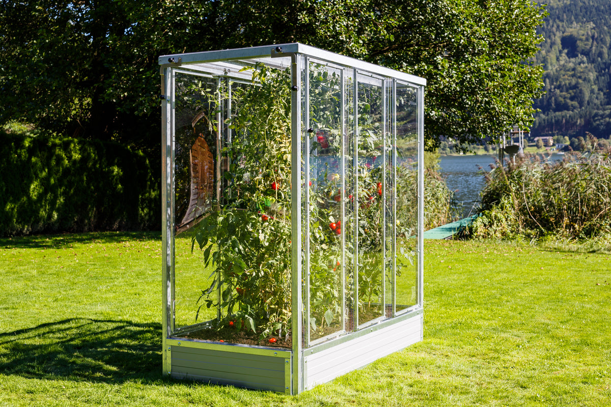 Tomatenhaus "Julia"